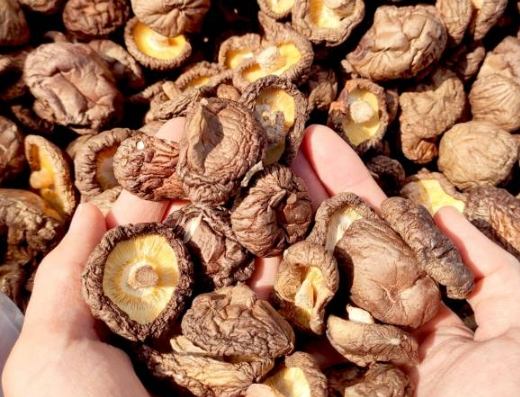 帶乾香菇 回台灣