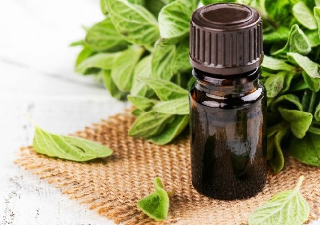 白蘭花精油功效 白蘭花精油功效