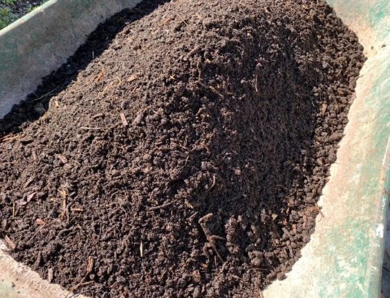 有機培養土推薦 有機培養土推薦