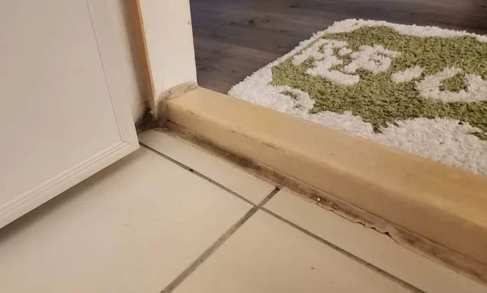 矽利康發霉處理