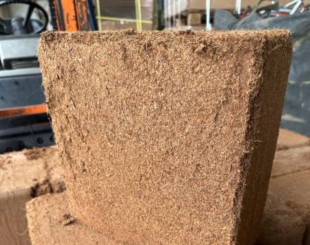 土壤過濕症狀 土壤過濕症狀