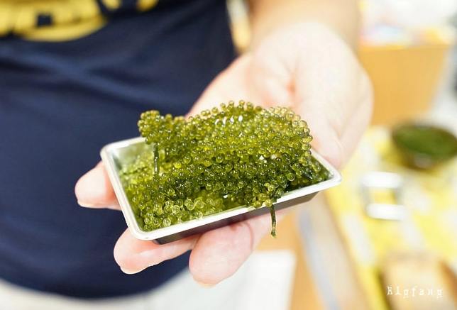 海葡萄 台灣 攜帶