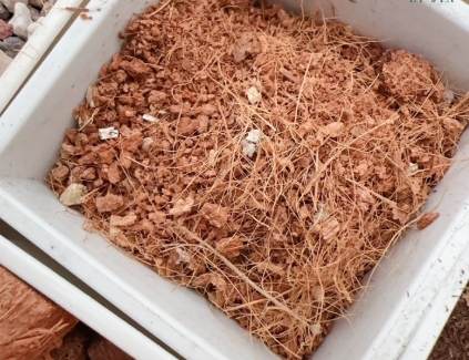 椰土使用注意事項