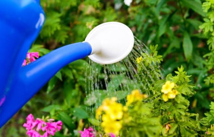 過濾水澆花好處