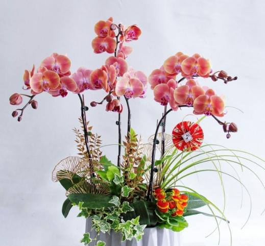 液態肥料使用方法