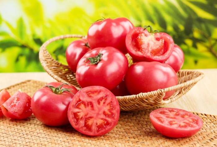 温度对西红柿生长的影响 温度对西红柿生长的影响