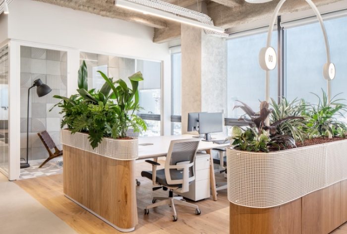 办公室植物风水