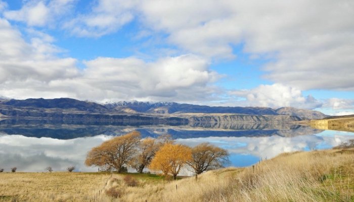 紐西蘭旅行費用