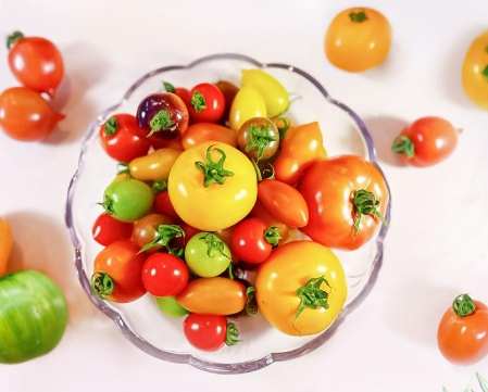 台灣蕃茄栽培 台灣蕃茄栽培