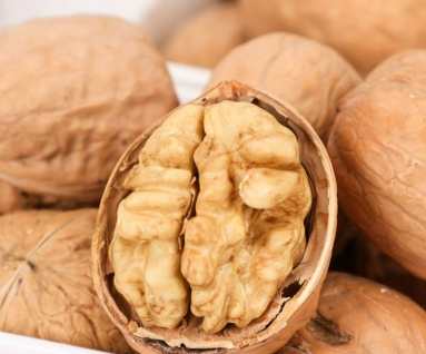 核桃檢疫要求 核桃檢疫要求