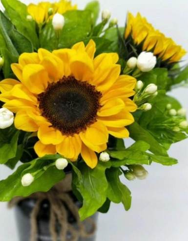 花語意義 花語意義