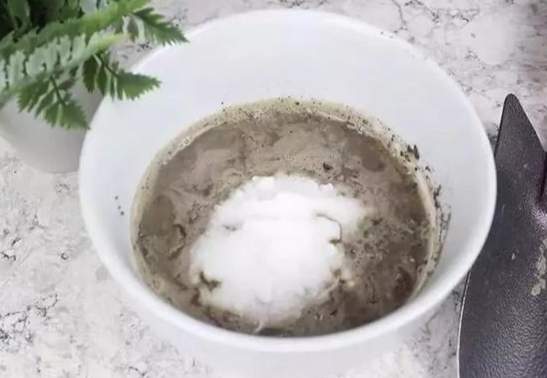 植物繁殖技巧 植物繁殖技巧