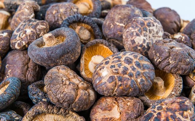 攜帶香菇回台灣規定