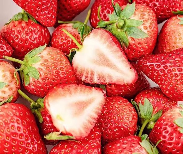 高甜度草莓 高甜度草莓