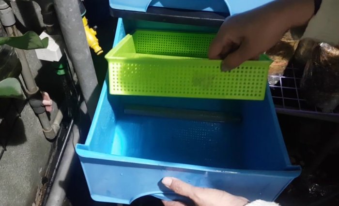 低維護蔬菜推薦 低維護蔬菜推薦