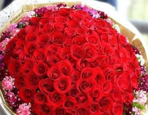 花語朵數查詢 花語朵數查詢