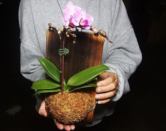 上板材料选择 上板材料选择