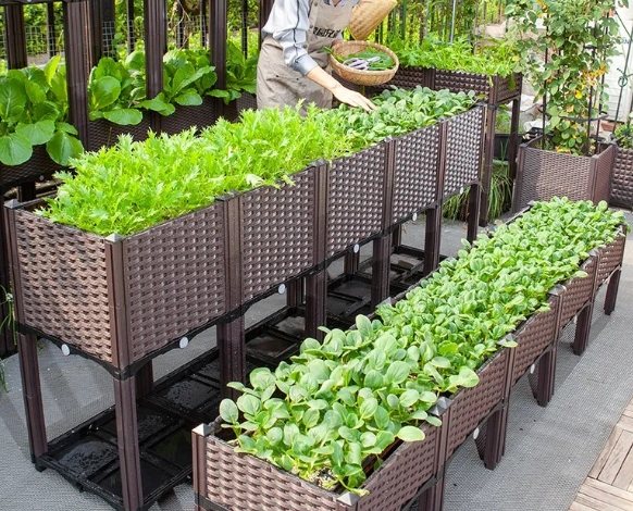 阳台蔬菜种植容器