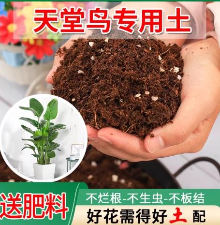 天堂鳥土壤配方