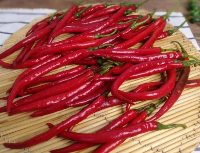 有機辣椒肥料 有機辣椒肥料