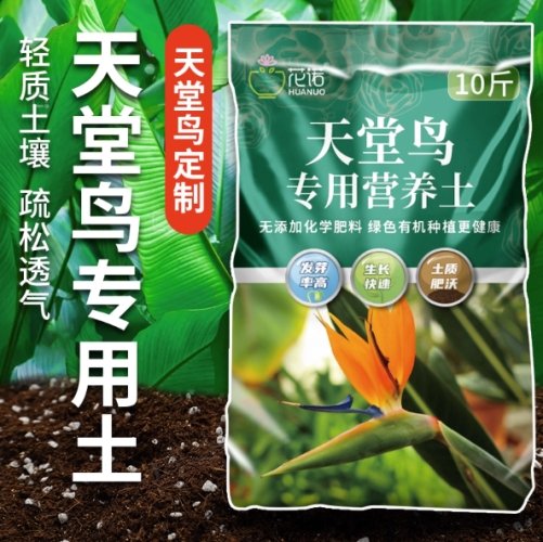 天堂鳥培養土