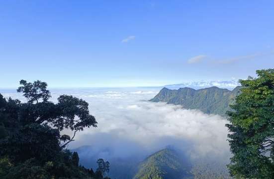 金柑樹山天氣預報 金柑樹山天氣預報