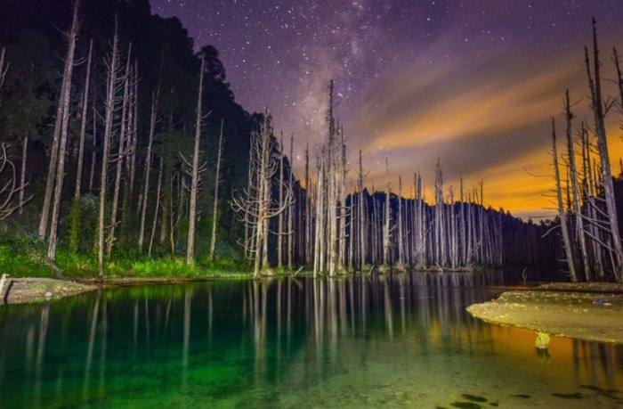 忘憂森林步道難度