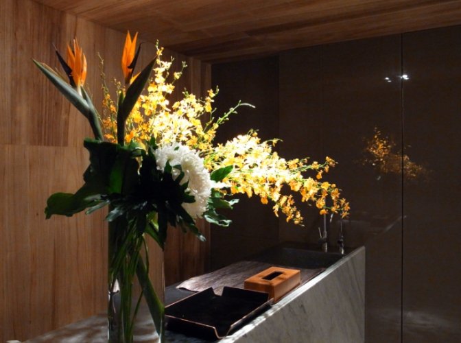 辦公室植物 辦公室植物