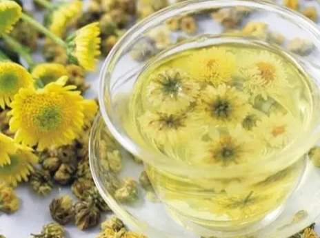 菊花茶止咳