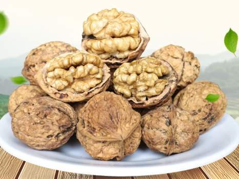 台灣海關核桃規定 台灣海關核桃規定