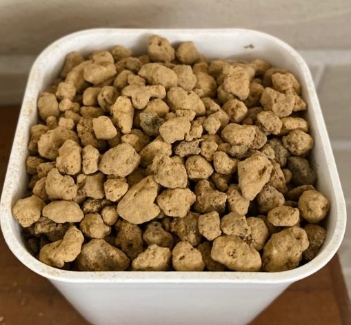 多肉植物鋪面 多肉植物鋪面