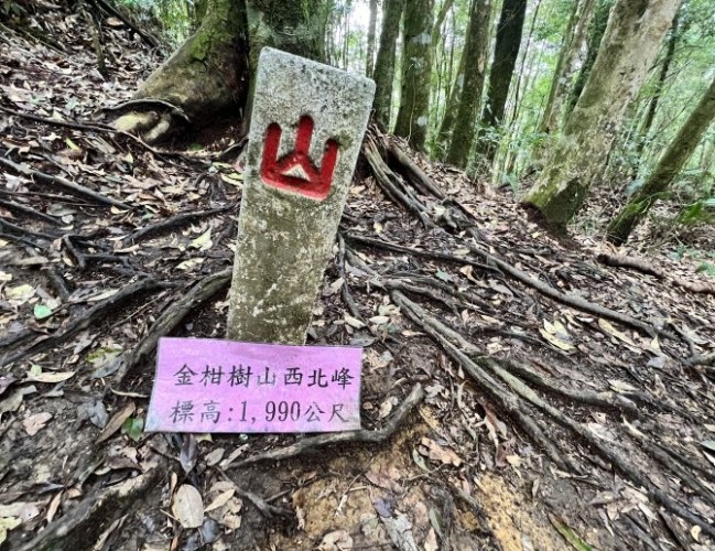 忘憂森林登山 忘憂森林登山