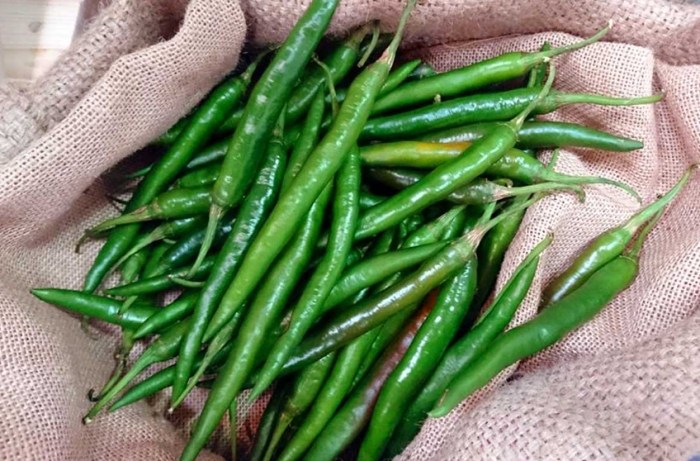 日本海關 食品規定 日本海關 食品規定