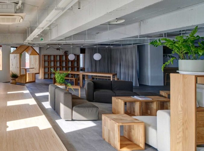 辦公室植物推薦