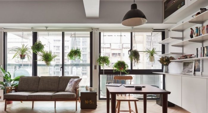 客廳適合的植物