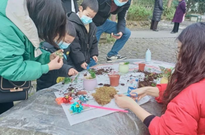 移植植物枯萎原因 移植植物枯萎原因