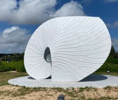 澎湖貝殼攜帶規定 澎湖貝殼攜帶規定