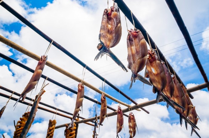 魚乾攜帶回台灣