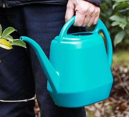 盆栽澆水技巧 盆栽澆水技巧