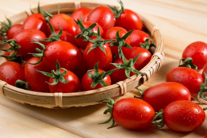 種小蕃茄方法 種小蕃茄方法