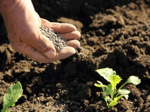 肥料選擇方法 肥料選擇方法