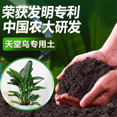 天堂鳥培養土