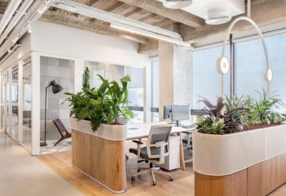 辦公室植物推薦