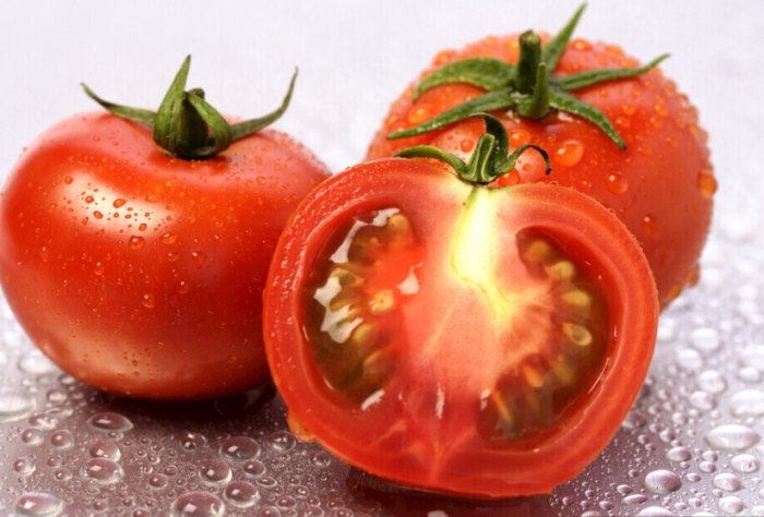 温度对西红柿生长的影响 温度对西红柿生长的影响