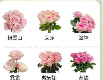 象徵女兒的花卉