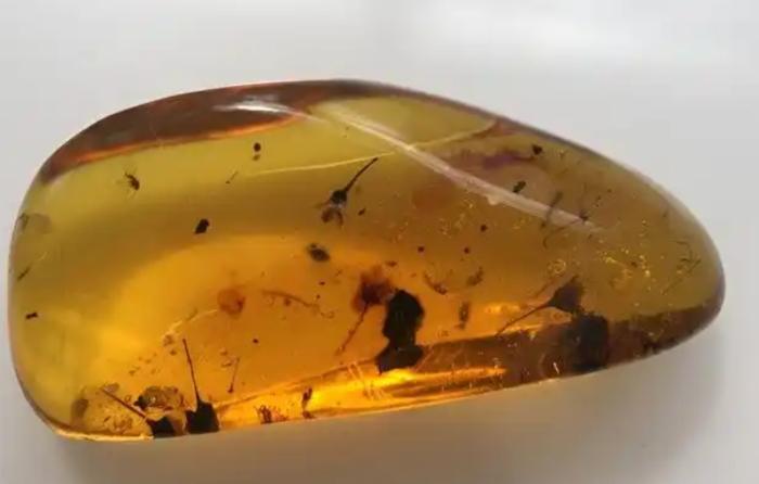 琥珀療效 琥珀療效