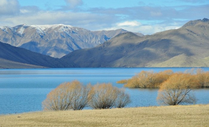 紐西蘭換匯技巧