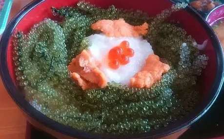 海葡萄 可以 帶回 台灣 嗎