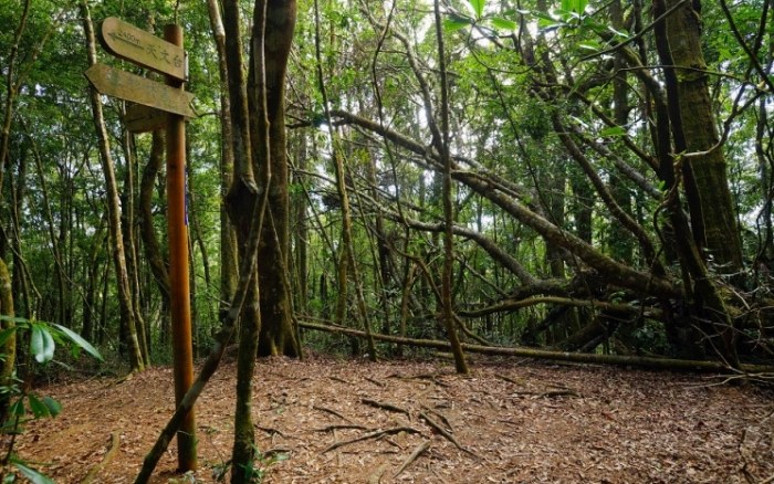 金柑樹山天氣預報 金柑樹山天氣預報