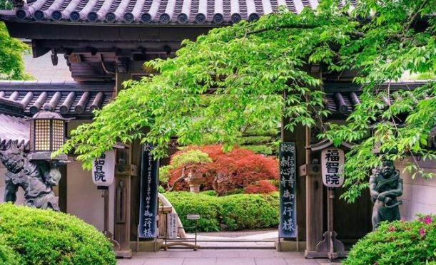 庭院樹種植 庭院樹種植